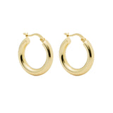 Classic Hoops