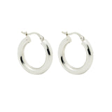 Classic Hoops