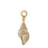 Seashell Earring Charm