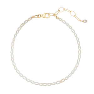 Alex Anklet