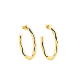 Golden Hour Hoops
