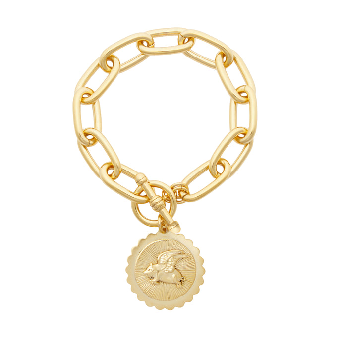 Wonder Bracelet
